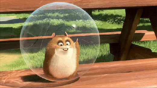 Bolt - Rhino the hamster