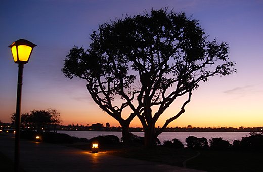 A sunset view of the harbour