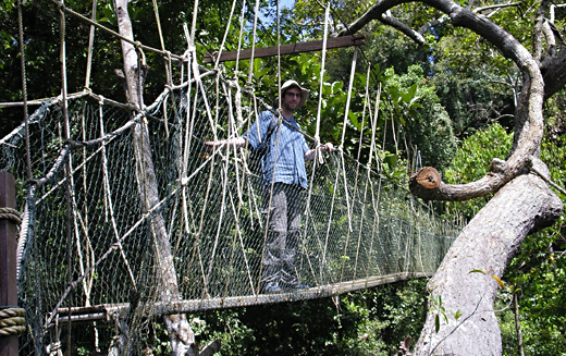 Me on the narrow canopy walkway