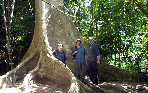 Norman, Me, and Joe dwarfed by the massive roots of a tree in the National Park