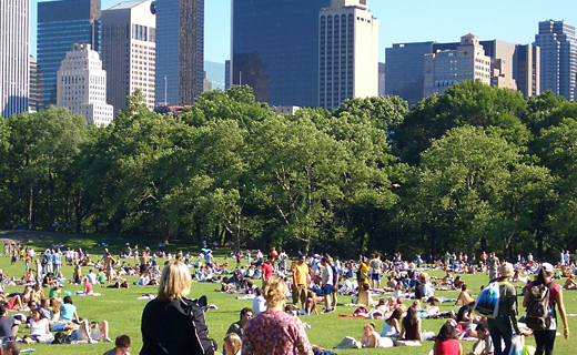 Sitting in Central Park